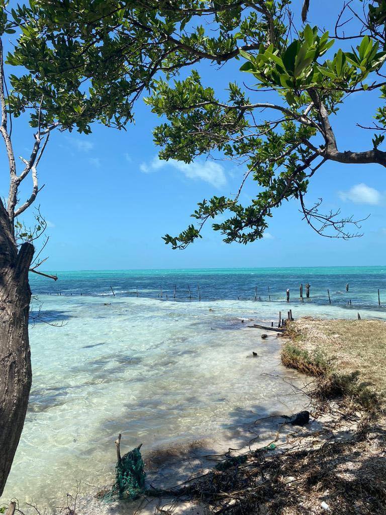 How to buy your own island