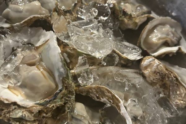 How to eat Cambodian Raw Oysters