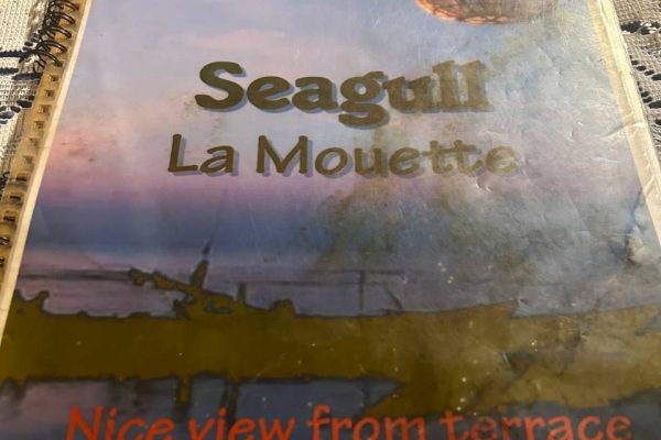 Seagull La Mouette