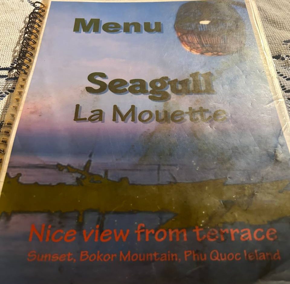 Seagull La Mouette