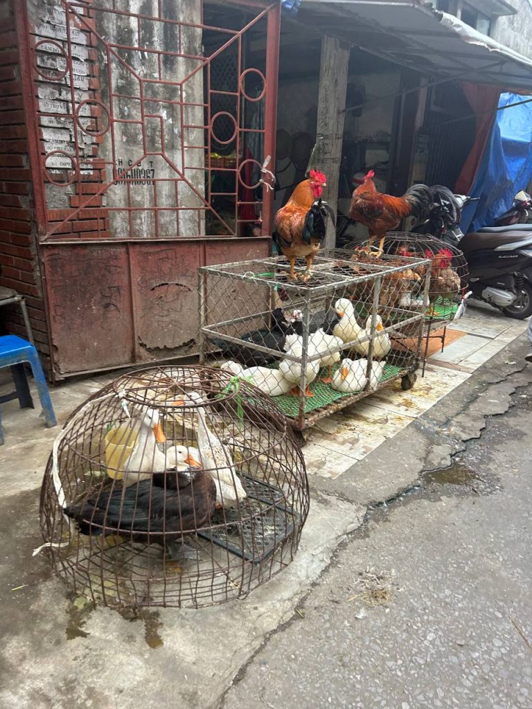 Street Food Vinh