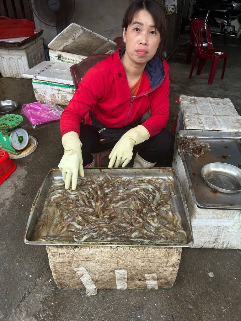 Street Food Vinh