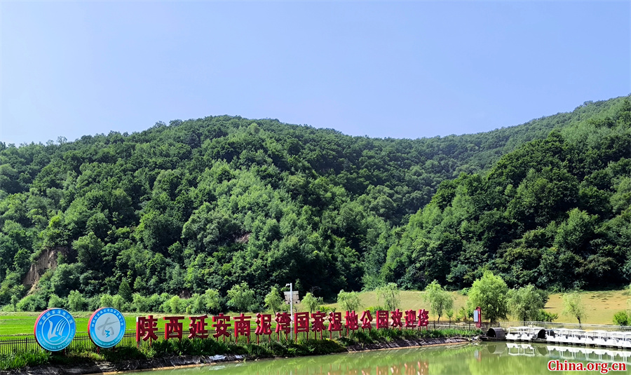 Shaanxi Cuisine