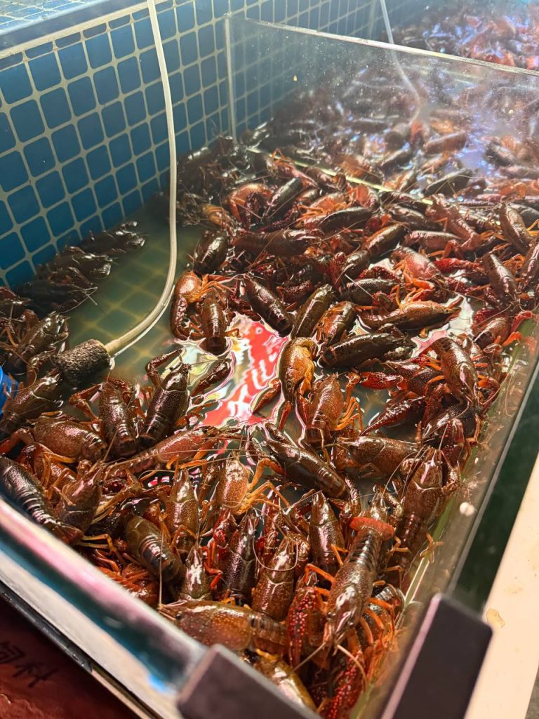Street Food Beihai