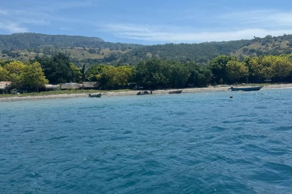 Atauro Island