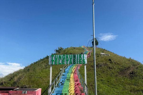 Teletubbies Hill