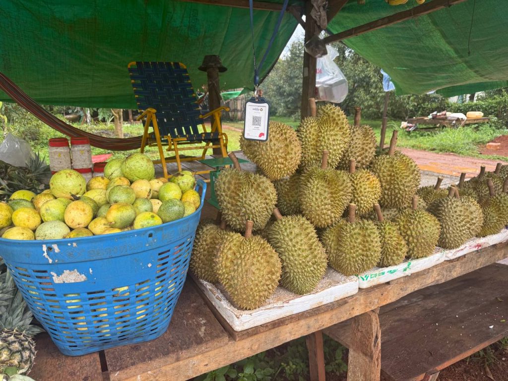 Siem Reap to Koh Kong 