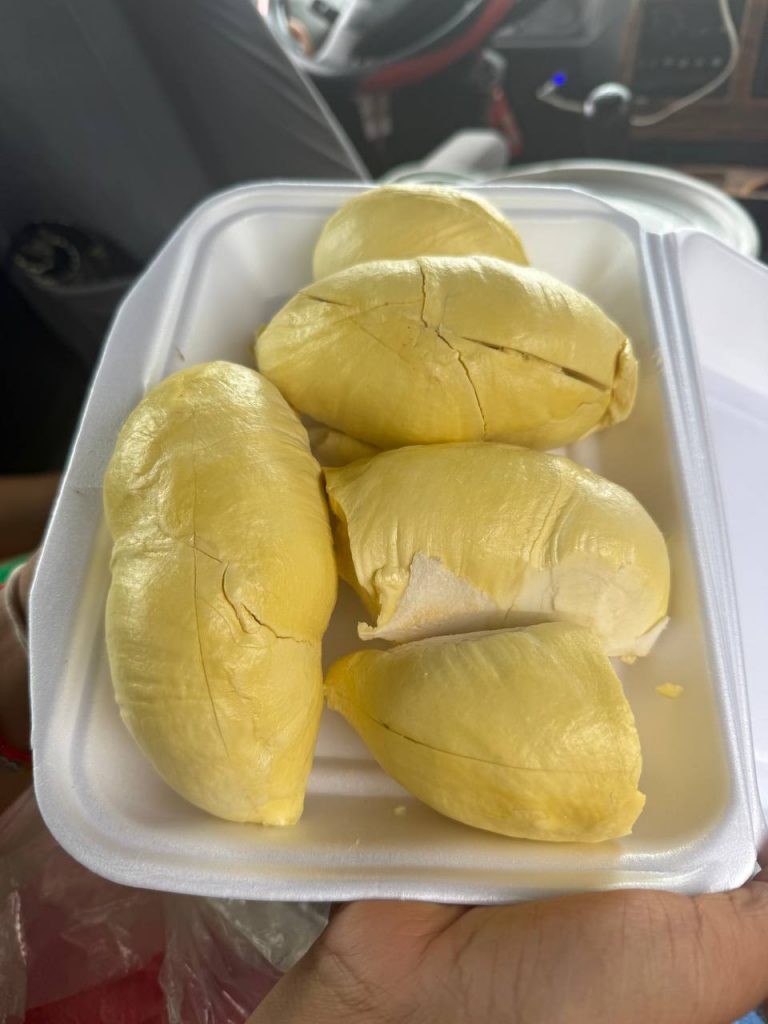 Siem Reap to Koh Kong 