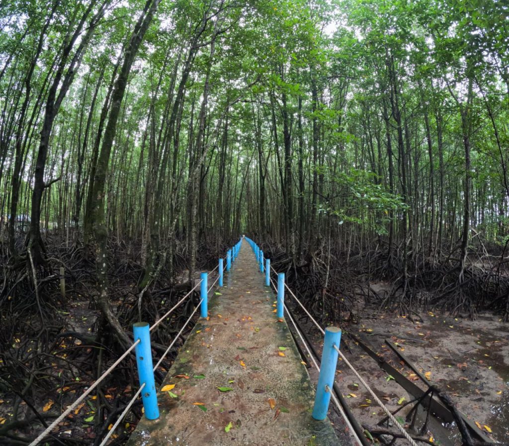 Siem Reap to Koh Kong 
