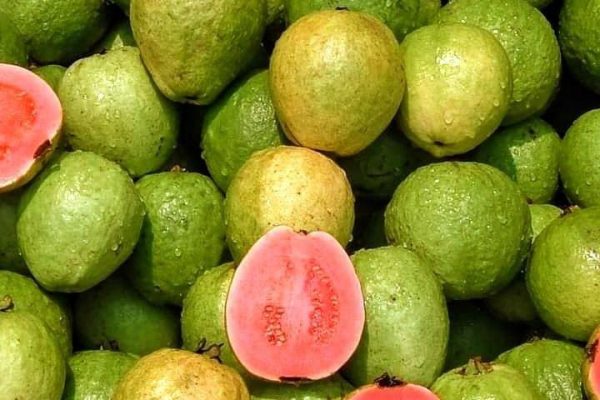 Fruit from Mexico
