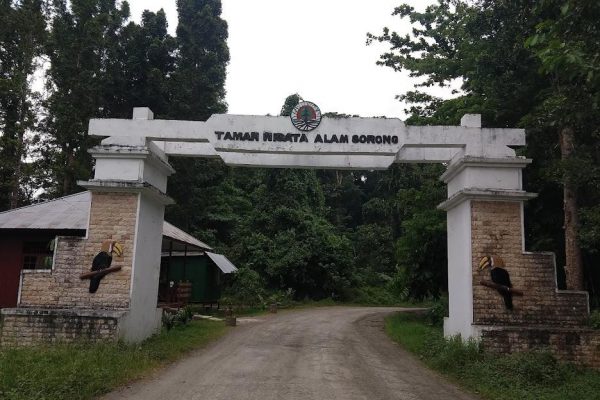 Sorong