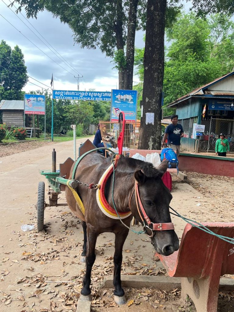 Koh Trong