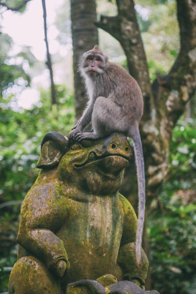 Uluwatu Guide