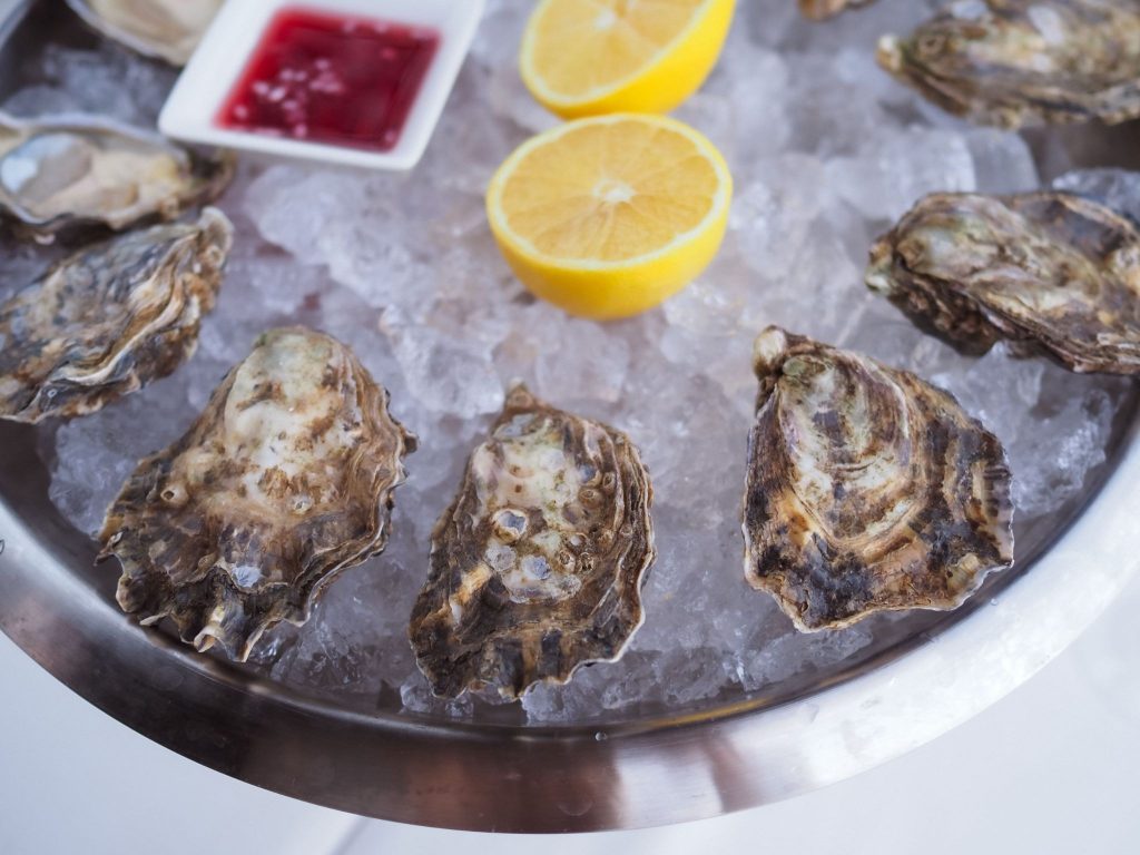 Florida's oyster and scallop culture