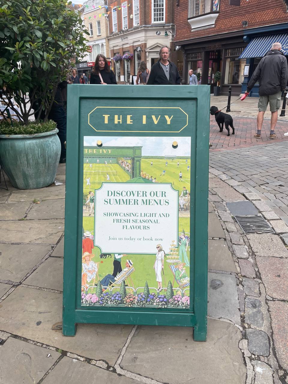 The Ivy